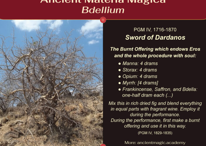 Ancient Materia Magica - Bdellium. Photo: Geethaka99, CC BY-SA 4.0, via Wikimedia Commons. Infographik: KD Dzwiza, CC BY-SA 4.0