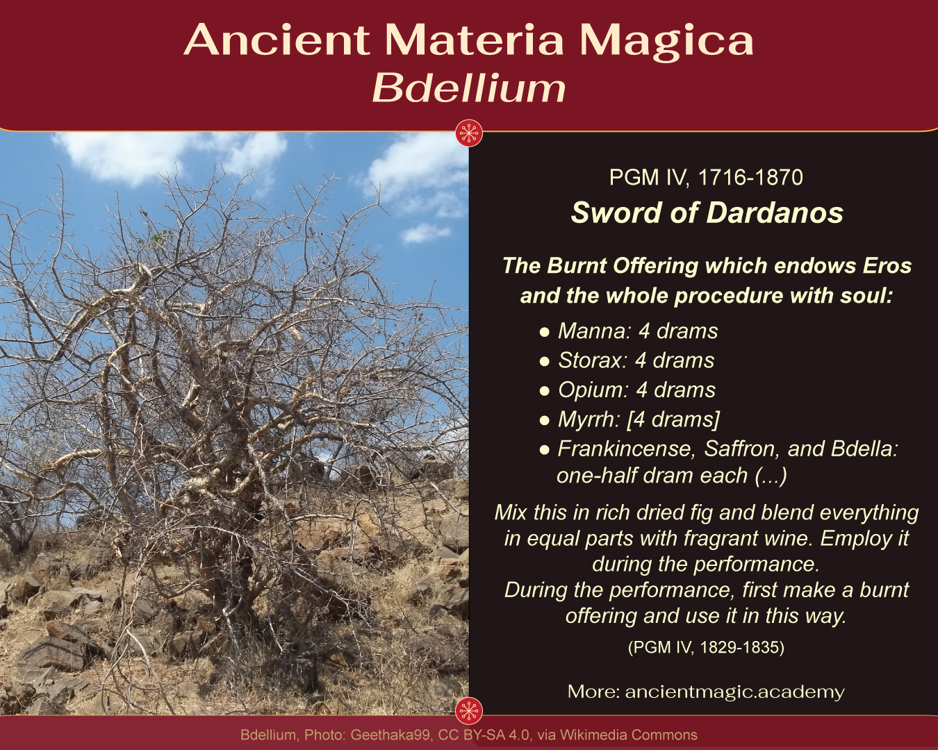 Ancient Materia Magica - Bdellium. Photo: Geethaka99, CC BY-SA 4.0, via Wikimedia Commons. Infographik: KD Dzwiza, CC BY-SA 4.0