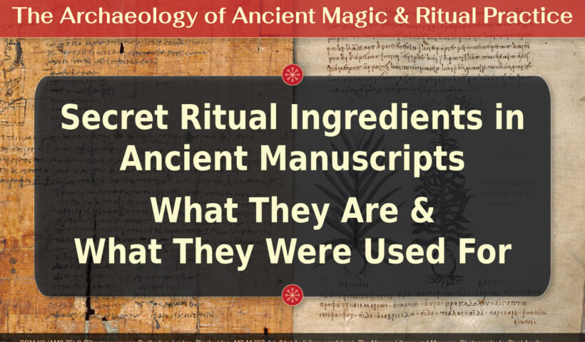 Video Secret Ritual Ingredients by Dr. Kirsten Dzwiza